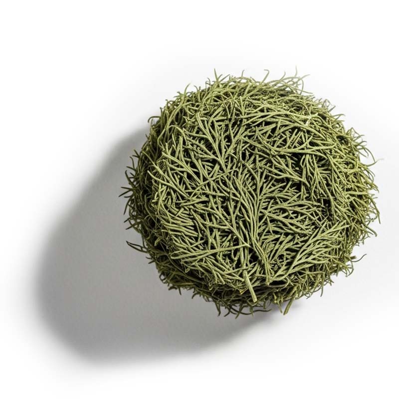Dill