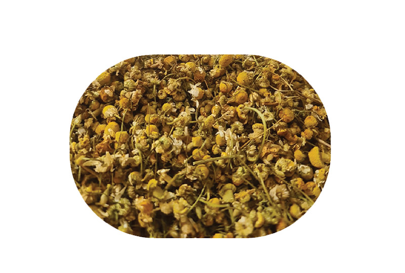 Chamomile